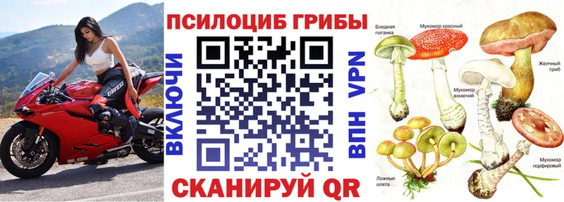 Галлюциногенные грибы Psilocybine cubensis  закладки  Хотьково 